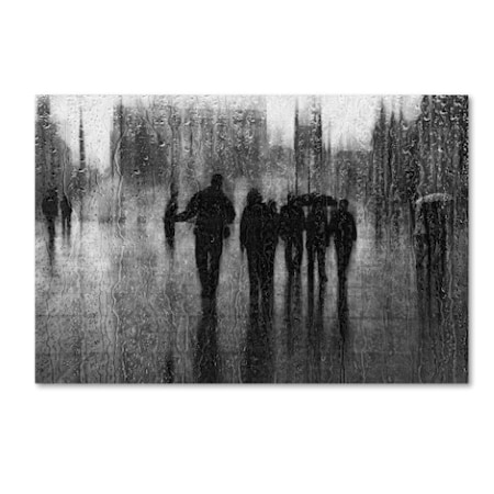 Roswitha Schleicher Schwarz 'After The Rain' Canvas Art,22x32
